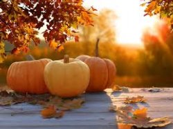 Fall/Autumn